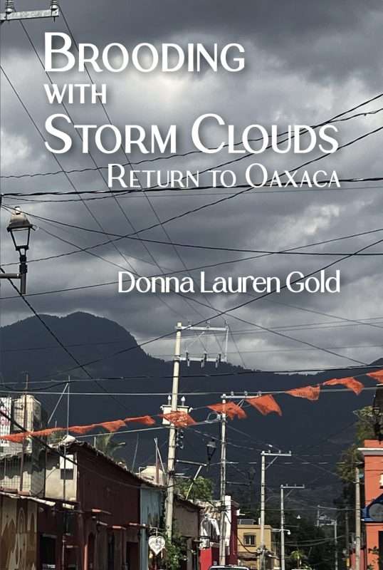 A book cover featuring a photograph of a street in Oaxaca, Mexico, lined with colorful low-rise buildings. Orange papel picado banners stretch across the street. Numerous power lines crisscross the sky overhead. In the background, dark, heavy storm clouds gather above a silhouette of distant mountains. The title text reads “Brooding with Storm Clouds: Return to Oaxaca,” and the author’s name, “Donna Lauren Gold,” appears below.